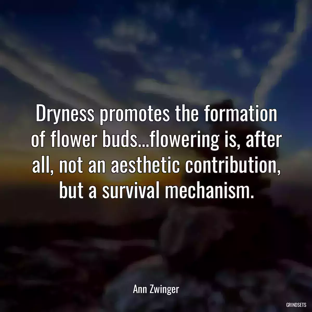 Dryness promotes the formation of flower buds...flowering is, after all, not an aesthetic contribution, but a survival mechanism.