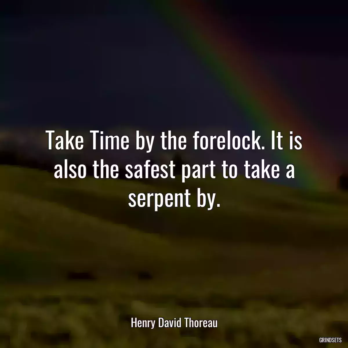 Take Time by the forelock. It is also the safest part to take a serpent by.