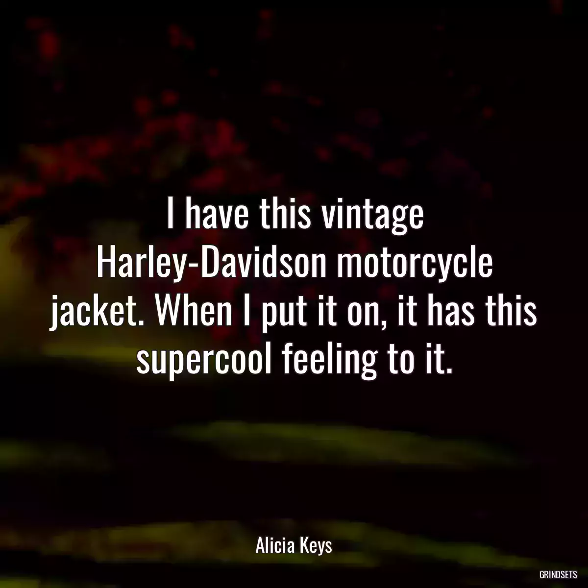 I have this vintage Harley-Davidson motorcycle jacket. When I put it on, it has this supercool feeling to it.