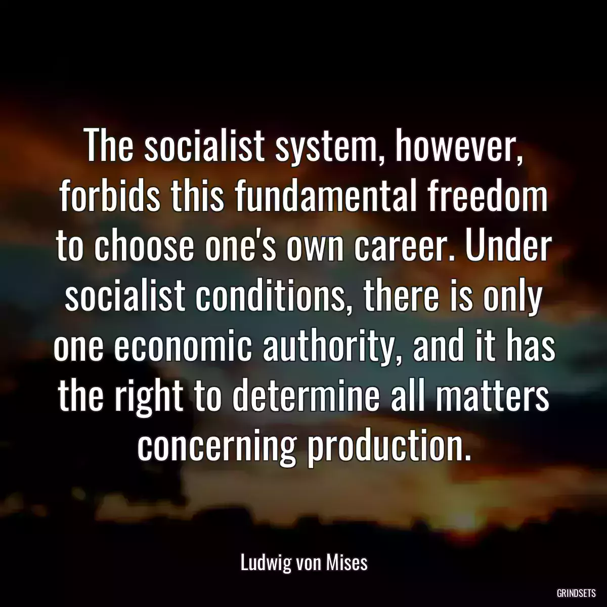 The socialist system, however, forbids this fundamental freedom to choose one\'s own career. Under socialist conditions, there is only one economic authority, and it has the right to determine all matters concerning production.