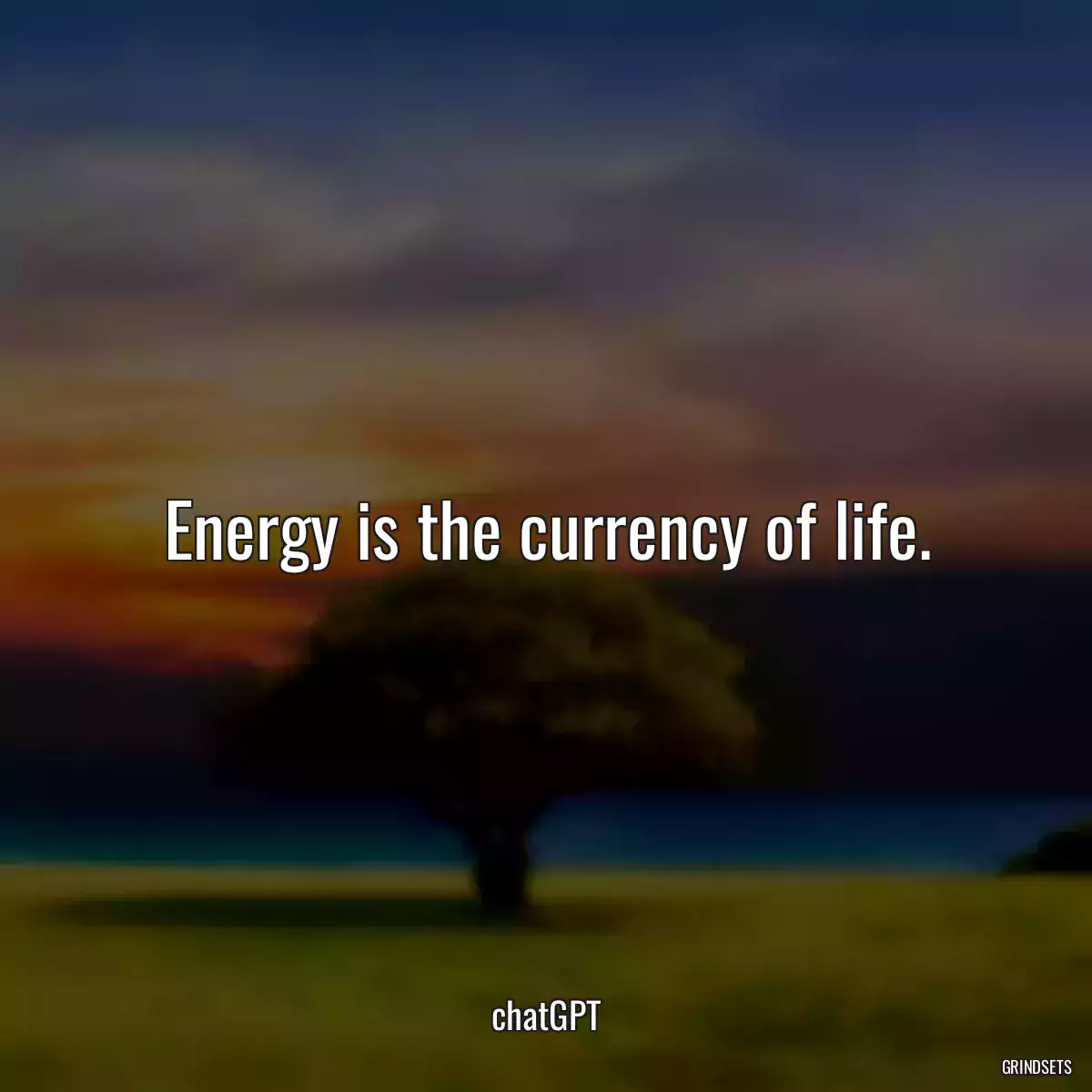 Energy is the currency of life.