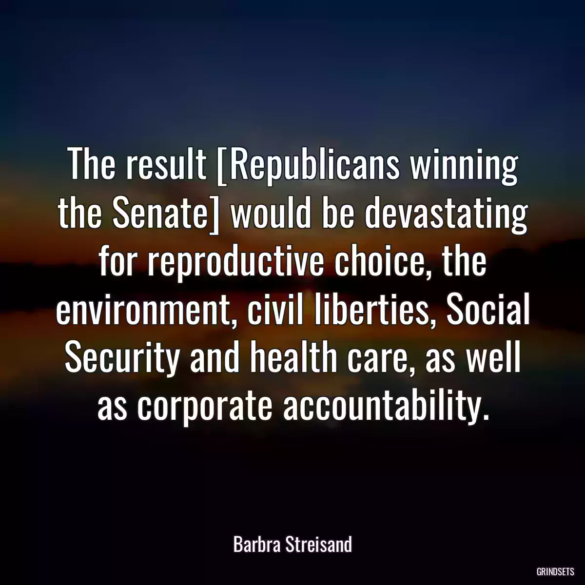 The result [Republicans winning the Senate] would be devastating for reproductive choice, the environment, civil liberties, Social Security and health care, as well as corporate accountability.