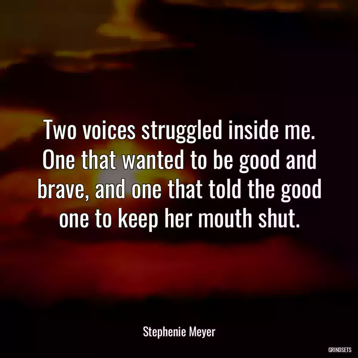 Two voices struggled inside me. One that wanted to be good and brave, and one that told the good one to keep her mouth shut.