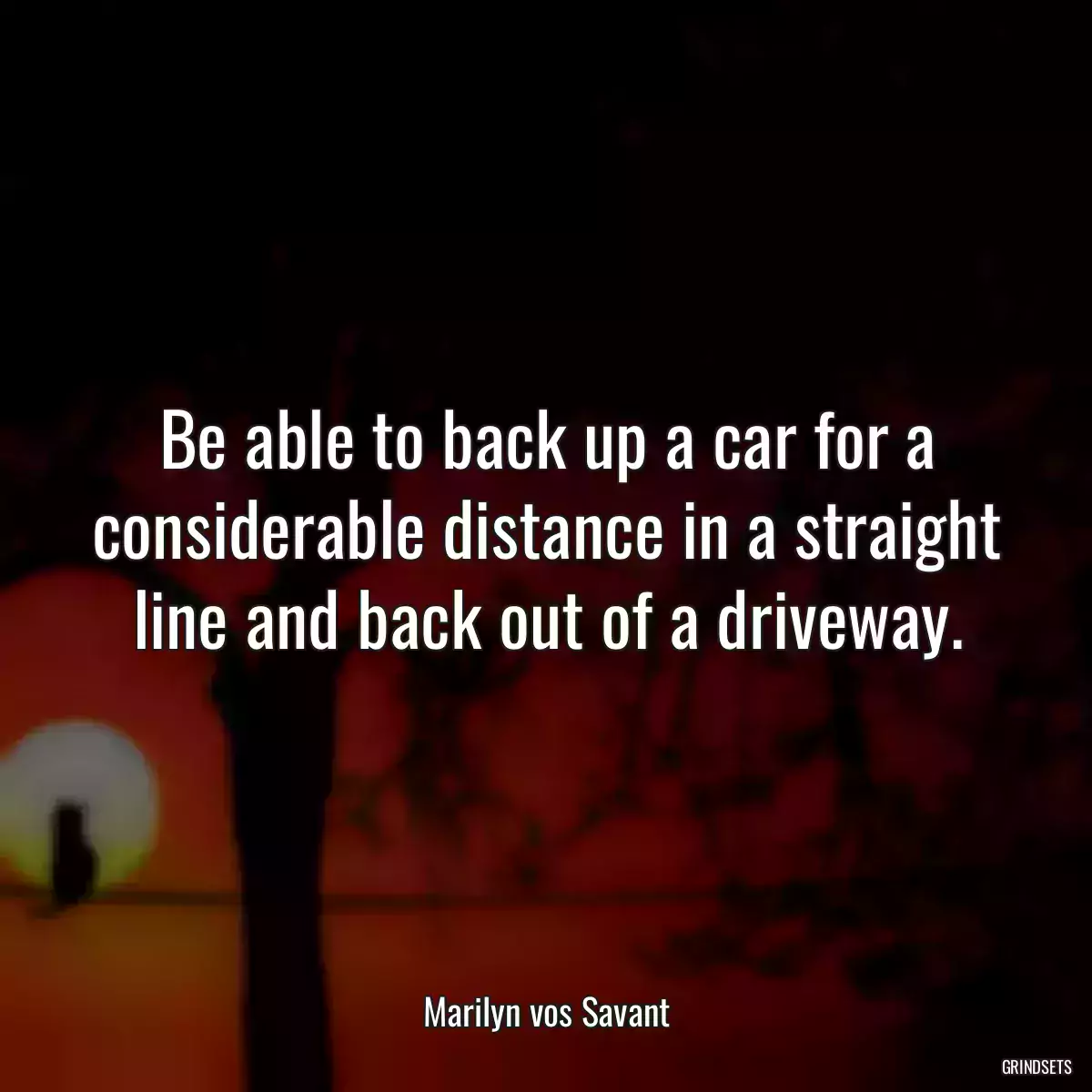 Be able to back up a car for a considerable distance in a straight line and back out of a driveway.