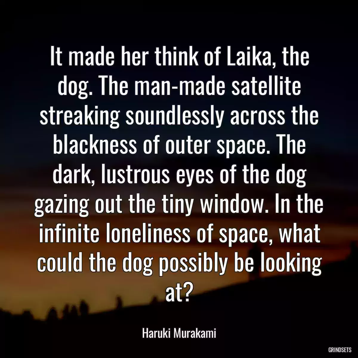 It made her think of Laika, the dog. The man-made satellite streaking soundlessly across the blackness of outer space. The dark, lustrous eyes of the dog gazing out the tiny window. In the infinite loneliness of space, what could the dog possibly be looking at?