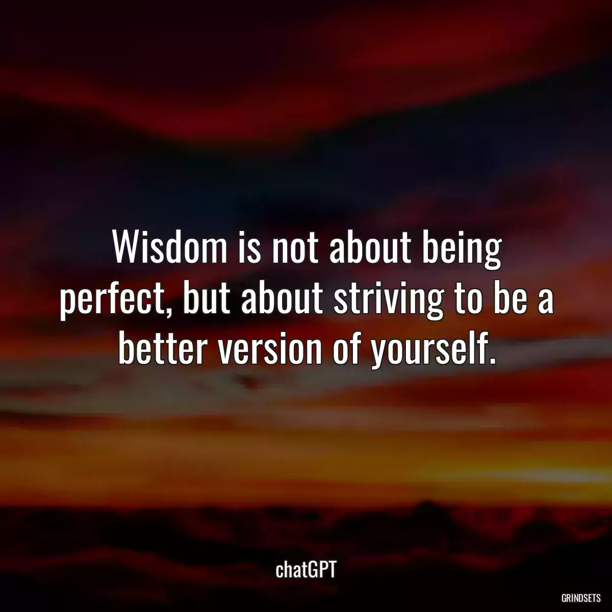 Wisdom is not about being perfect, but about striving to be a better version of yourself.