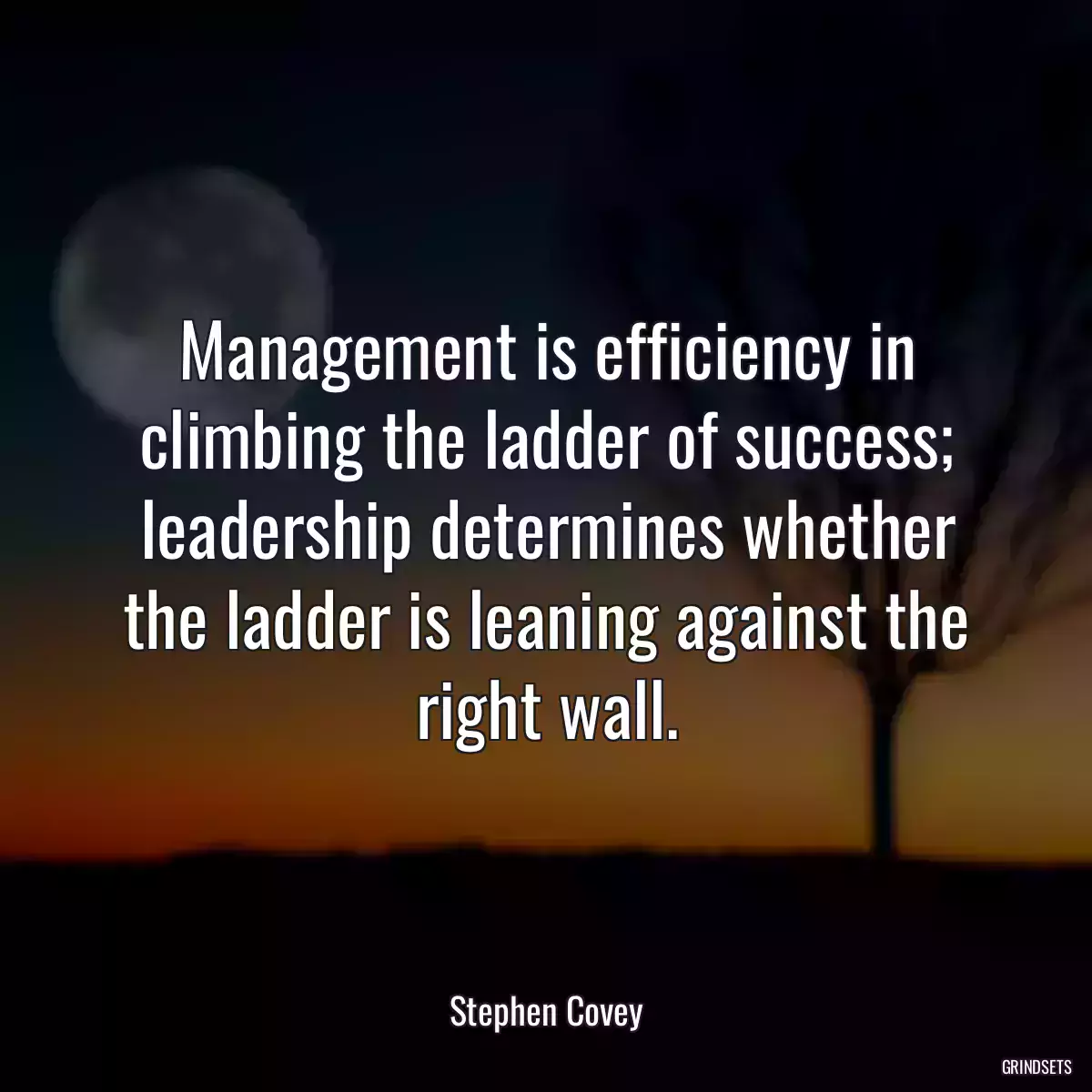 Management is efficiency in climbing the ladder of success; leadership determines whether the ladder is leaning against the right wall.