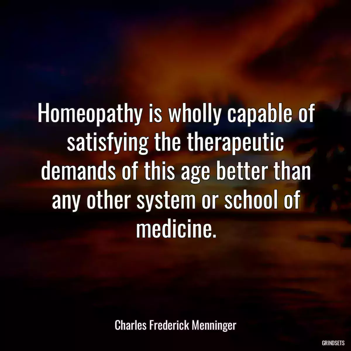 Homeopathy is wholly capable of satisfying the therapeutic demands of this age better than any other system or school of medicine.