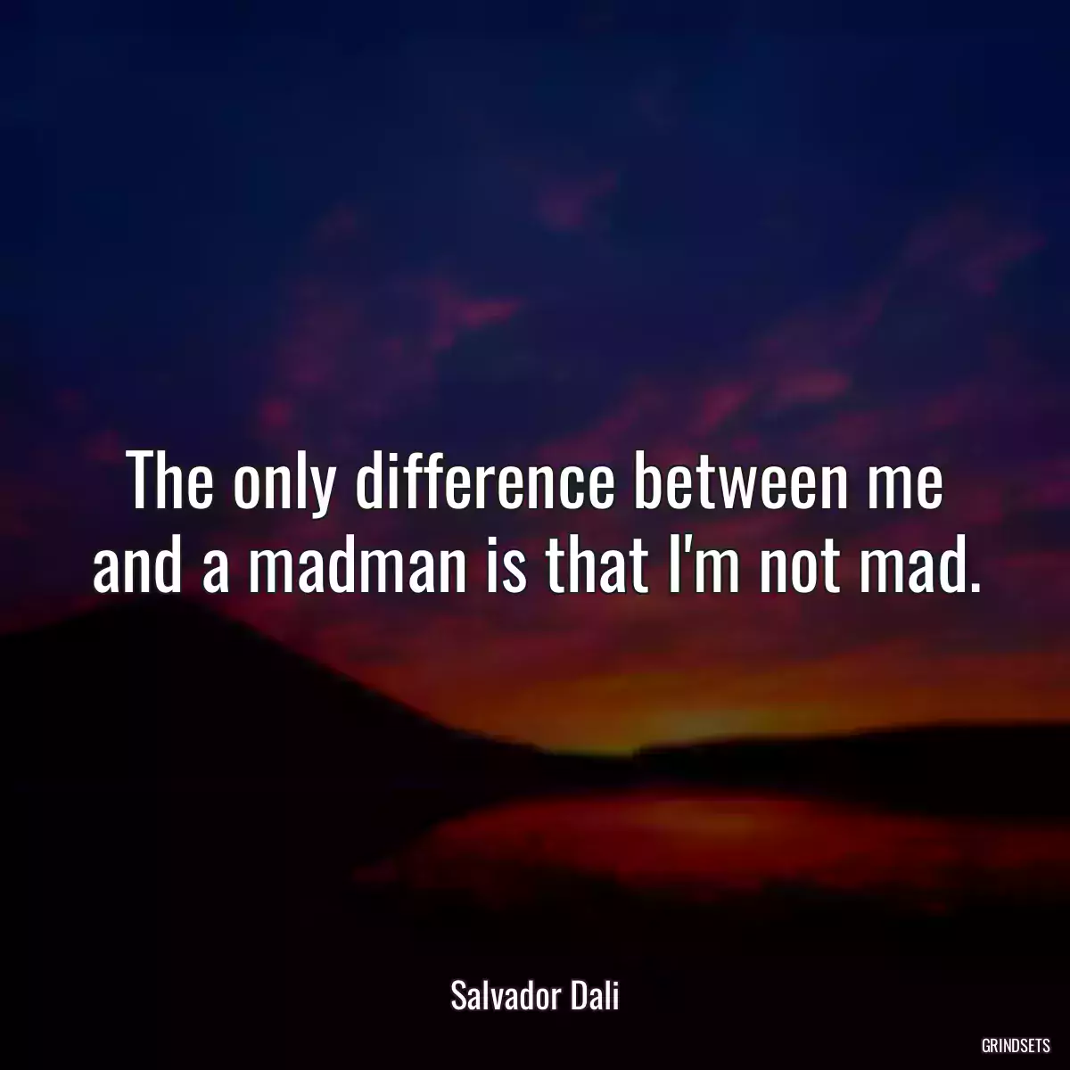 The only difference between me and a madman is that I\'m not mad.