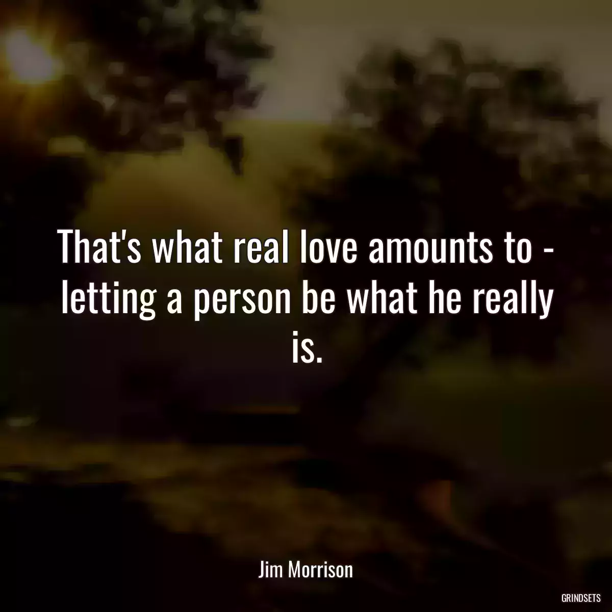 That\'s what real love amounts to - letting a person be what he really is.