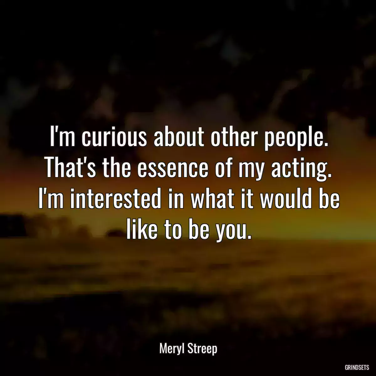 I\'m curious about other people. That\'s the essence of my acting. I\'m interested in what it would be like to be you.