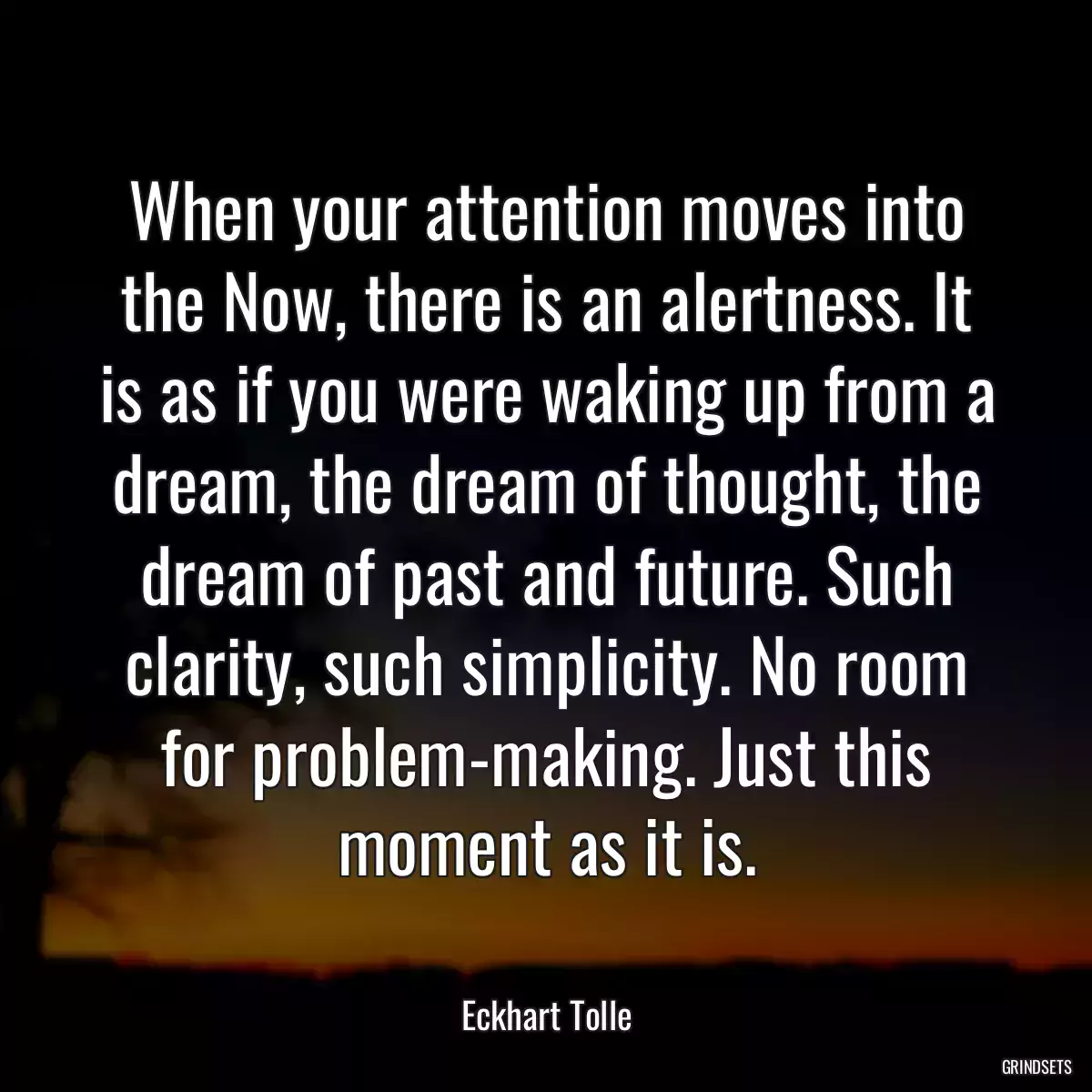 When your attention moves into the Now, there is an alertness. It is as if you were waking up from a dream, the dream of thought, the dream of past and future. Such clarity, such simplicity. No room for problem-making. Just this moment as it is.