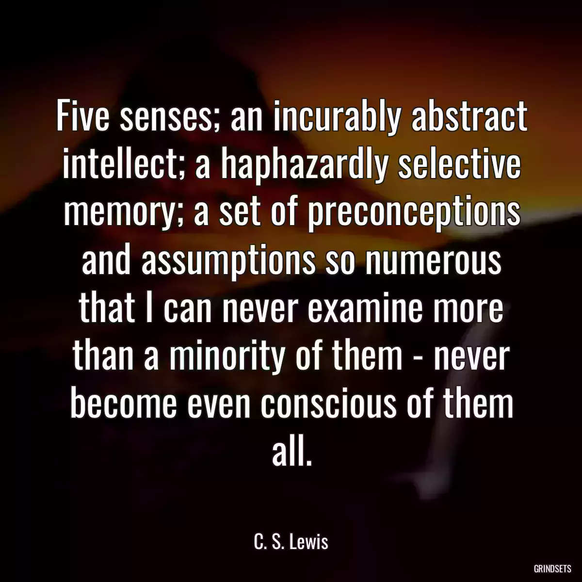 Five senses; an incurably abstract intellect; a haphazardly selective memory; a set of preconceptions and assumptions so numerous that I can never examine more than a minority of them - never become even conscious of them all.