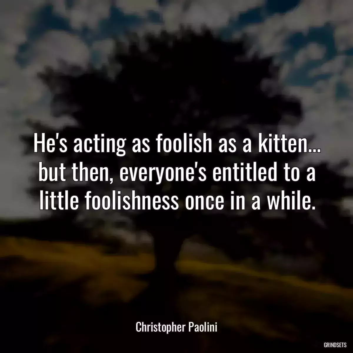 He\'s acting as foolish as a kitten... but then, everyone\'s entitled to a little foolishness once in a while.