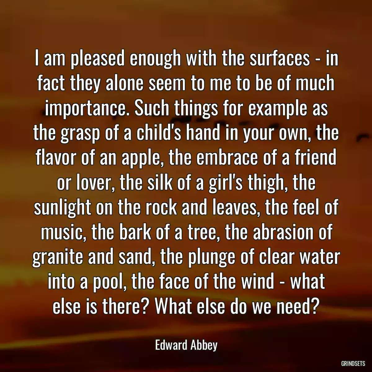 I am pleased enough with the surfaces - in fact they alone seem to me to be of much importance. Such things for example as the grasp of a child\'s hand in your own, the flavor of an apple, the embrace of a friend or lover, the silk of a girl\'s thigh, the sunlight on the rock and leaves, the feel of music, the bark of a tree, the abrasion of granite and sand, the plunge of clear water into a pool, the face of the wind - what else is there? What else do we need?