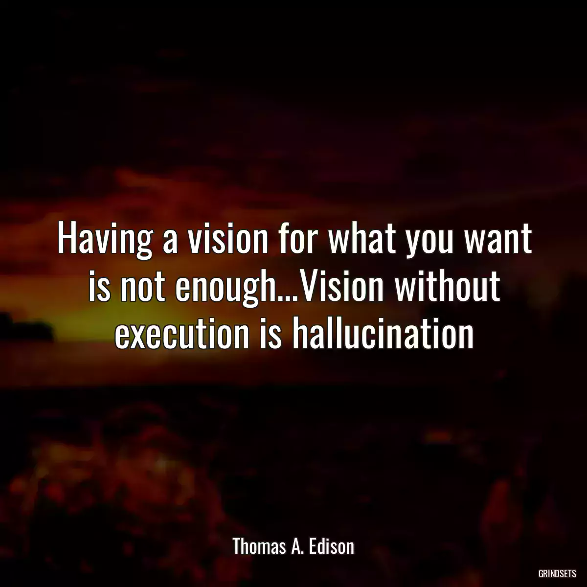 Having a vision for what you want is not enough...Vision without execution is hallucination