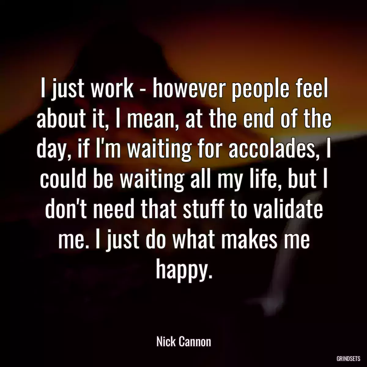 I just work - however people feel about it, I mean, at the end of the day, if I\'m waiting for accolades, I could be waiting all my life, but I don\'t need that stuff to validate me. I just do what makes me happy.