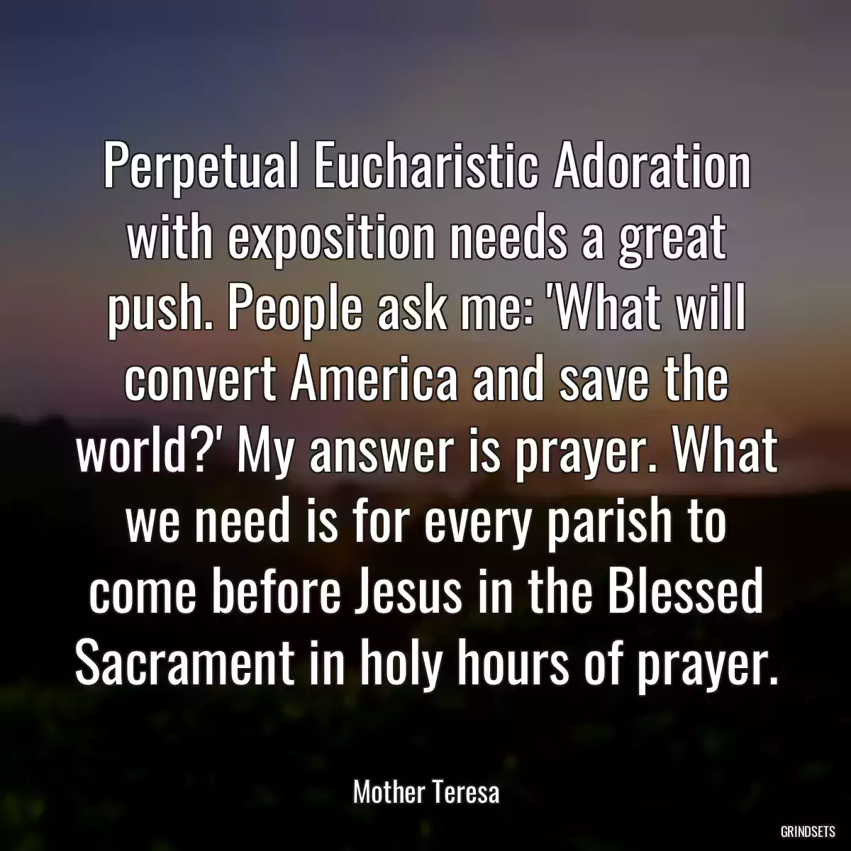 Perpetual Eucharistic Adoration with exposition needs a great push. People ask me: \'What will convert America and save the world?\' My answer is prayer. What we need is for every parish to come before Jesus in the Blessed Sacrament in holy hours of prayer.