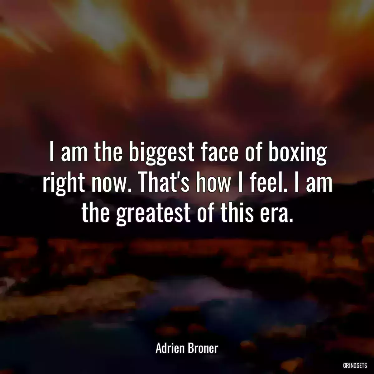 I am the biggest face of boxing right now. That\'s how I feel. I am the greatest of this era.