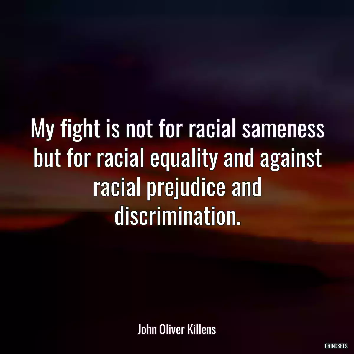 My fight is not for racial sameness but for racial equality and against racial prejudice and discrimination.