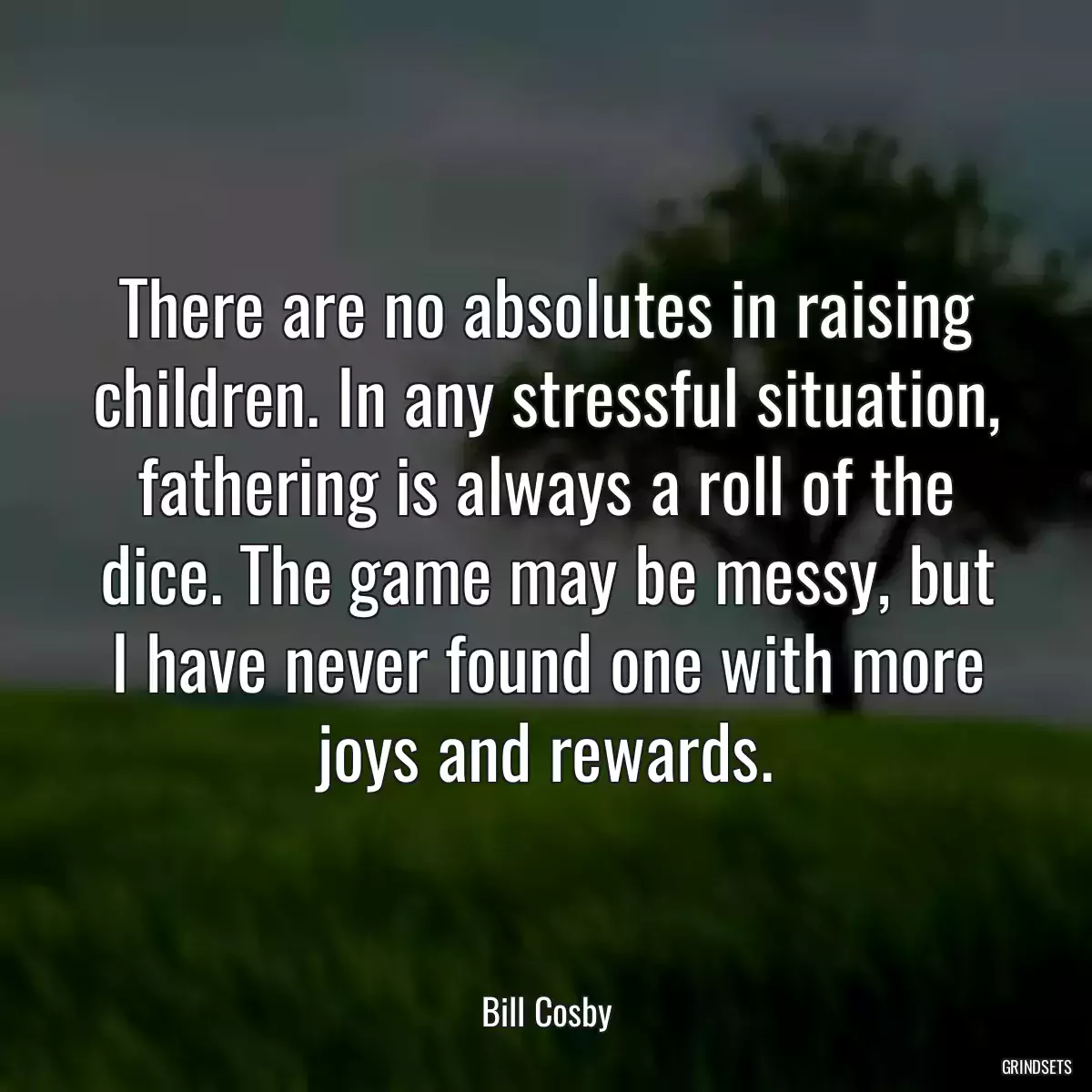 There are no absolutes in raising children. In any stressful situation, fathering is always a roll of the dice. The game may be messy, but I have never found one with more joys and rewards.