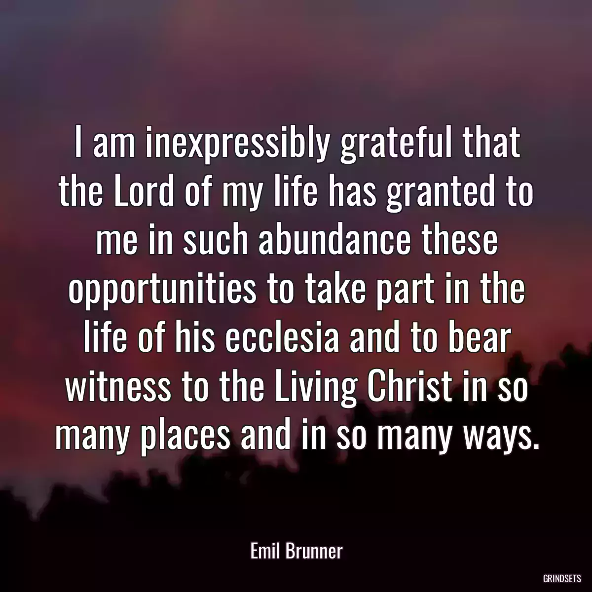 I am inexpressibly grateful that the Lord of my life has granted to me in such abundance these opportunities to take part in the life of his ecclesia and to bear witness to the Living Christ in so many places and in so many ways.