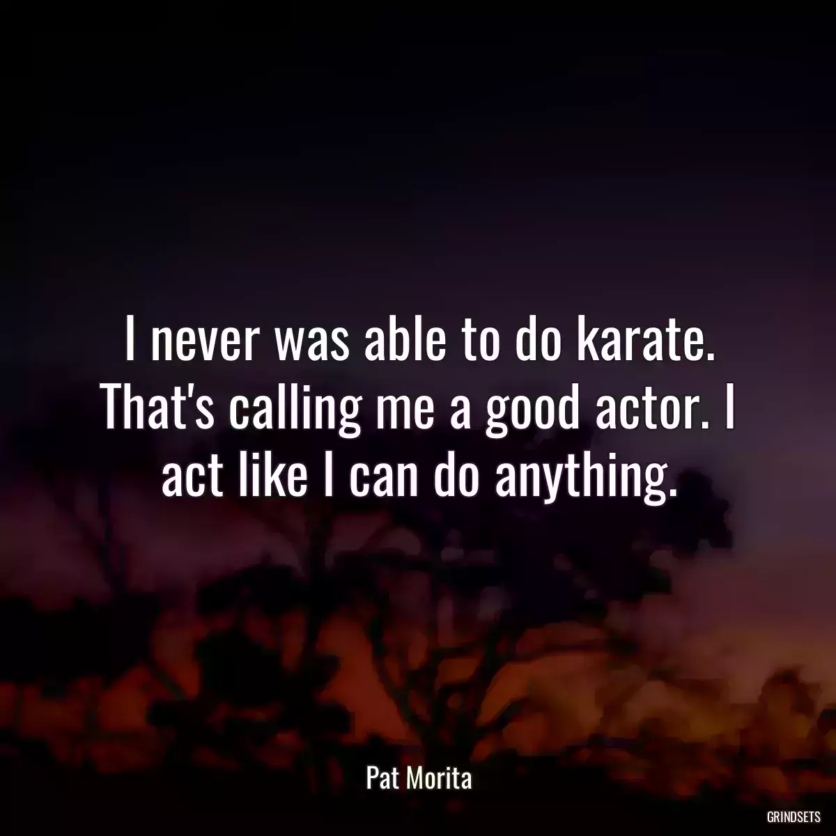 I never was able to do karate. That\'s calling me a good actor. I act like I can do anything.