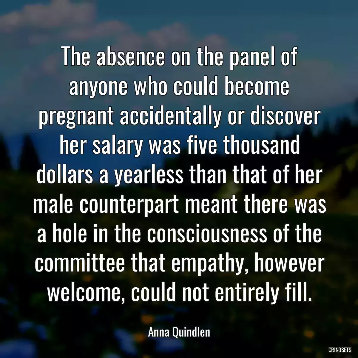 The absence on the panel of anyone who could become pregnant accidentally or discover her salary was five thousand dollars a yearless than that of her male counterpart meant there was a hole in the consciousness of the committee that empathy, however welcome, could not entirely fill.