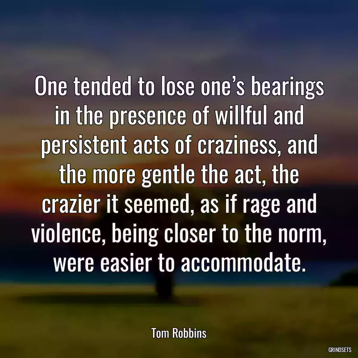 One tended to lose one’s bearings in the presence of willful and persistent acts of craziness, and the more gentle the act, the crazier it seemed, as if rage and violence, being closer to the norm, were easier to accommodate.