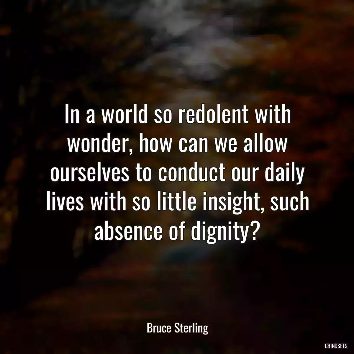 In a world so redolent with wonder, how can we allow ourselves to conduct our daily lives with so little insight, such absence of dignity?