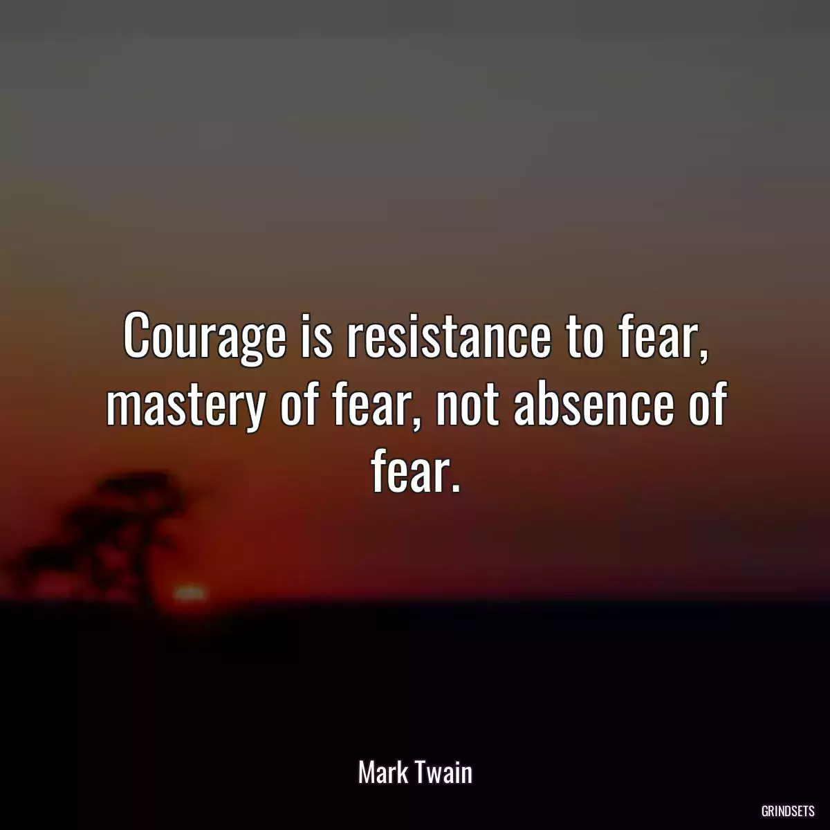 Courage is resistance to fear, mastery of fear, not absence of fear.