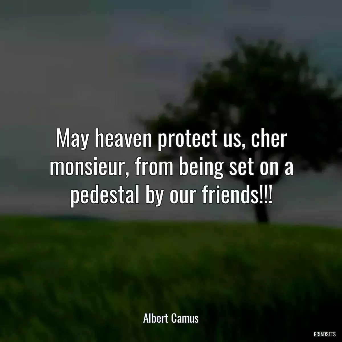 May heaven protect us, cher monsieur, from being set on a pedestal by our friends!!!