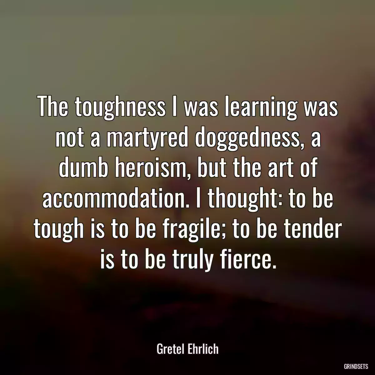 The toughness I was learning was not a martyred doggedness, a dumb heroism, but the art of accommodation. I thought: to be tough is to be fragile; to be tender is to be truly fierce.