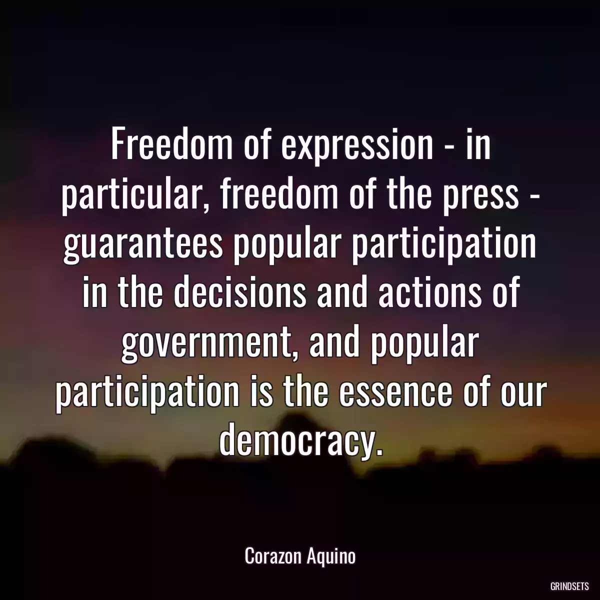 Freedom of expression - in particular, freedom of the press - guarantees popular participation in the decisions and actions of government, and popular participation is the essence of our democracy.