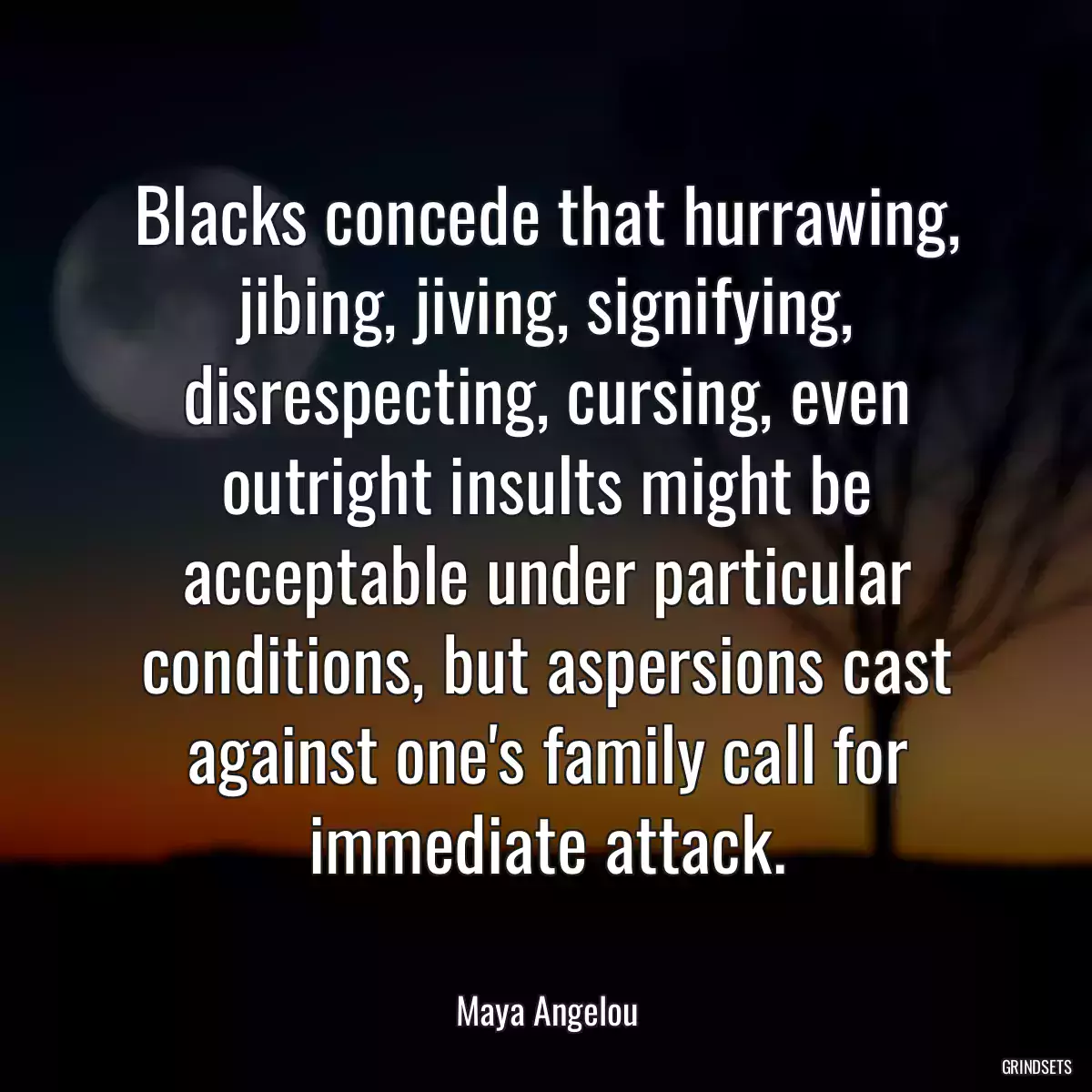 Blacks concede that hurrawing, jibing, jiving, signifying, disrespecting, cursing, even outright insults might be acceptable under particular conditions, but aspersions cast against one\'s family call for immediate attack.