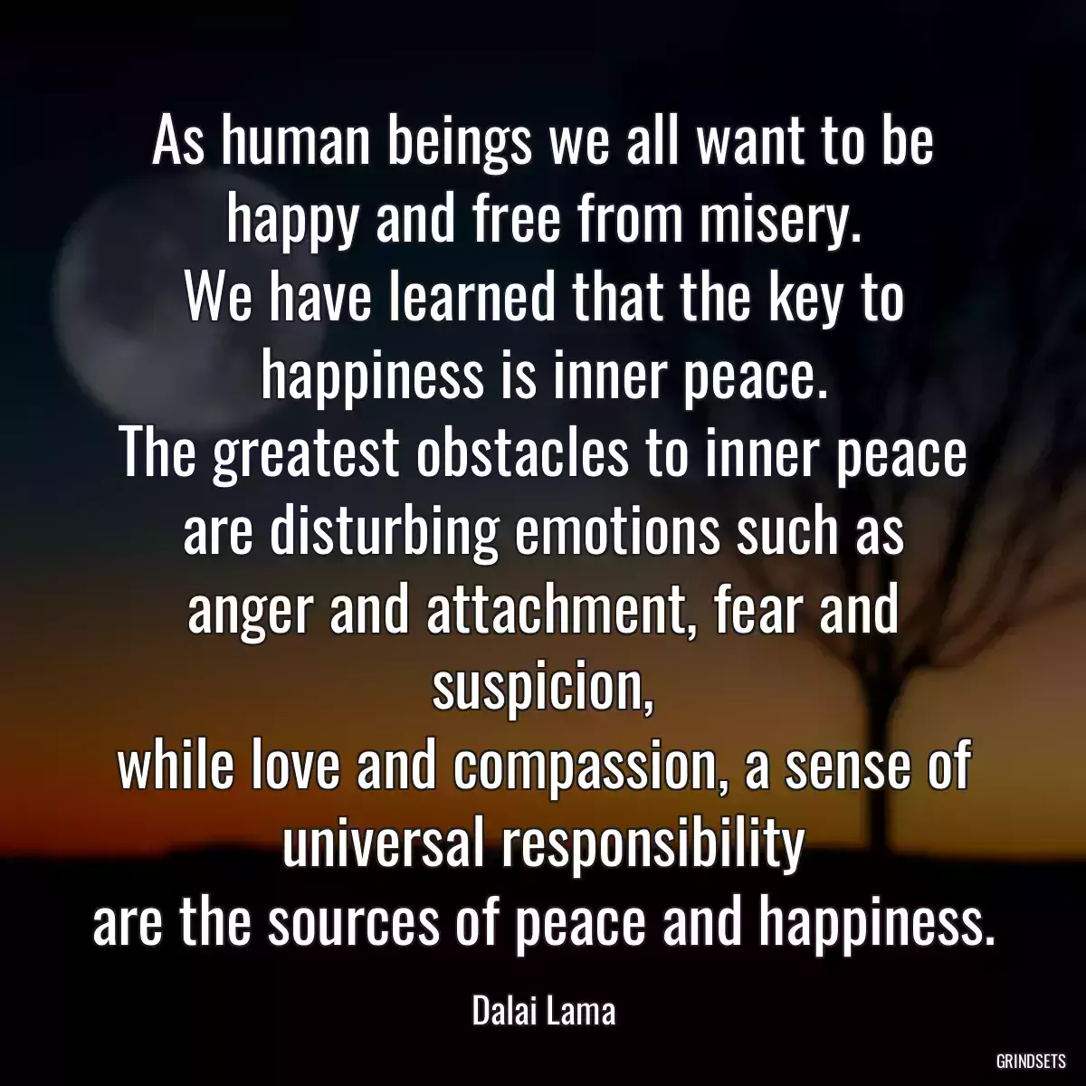 As human beings we all want to be happy and free from misery.
We have learned that the key to happiness is inner peace.
The greatest obstacles to inner peace are disturbing emotions such as
anger and attachment, fear and suspicion,
while love and compassion, a sense of universal responsibility
are the sources of peace and happiness.