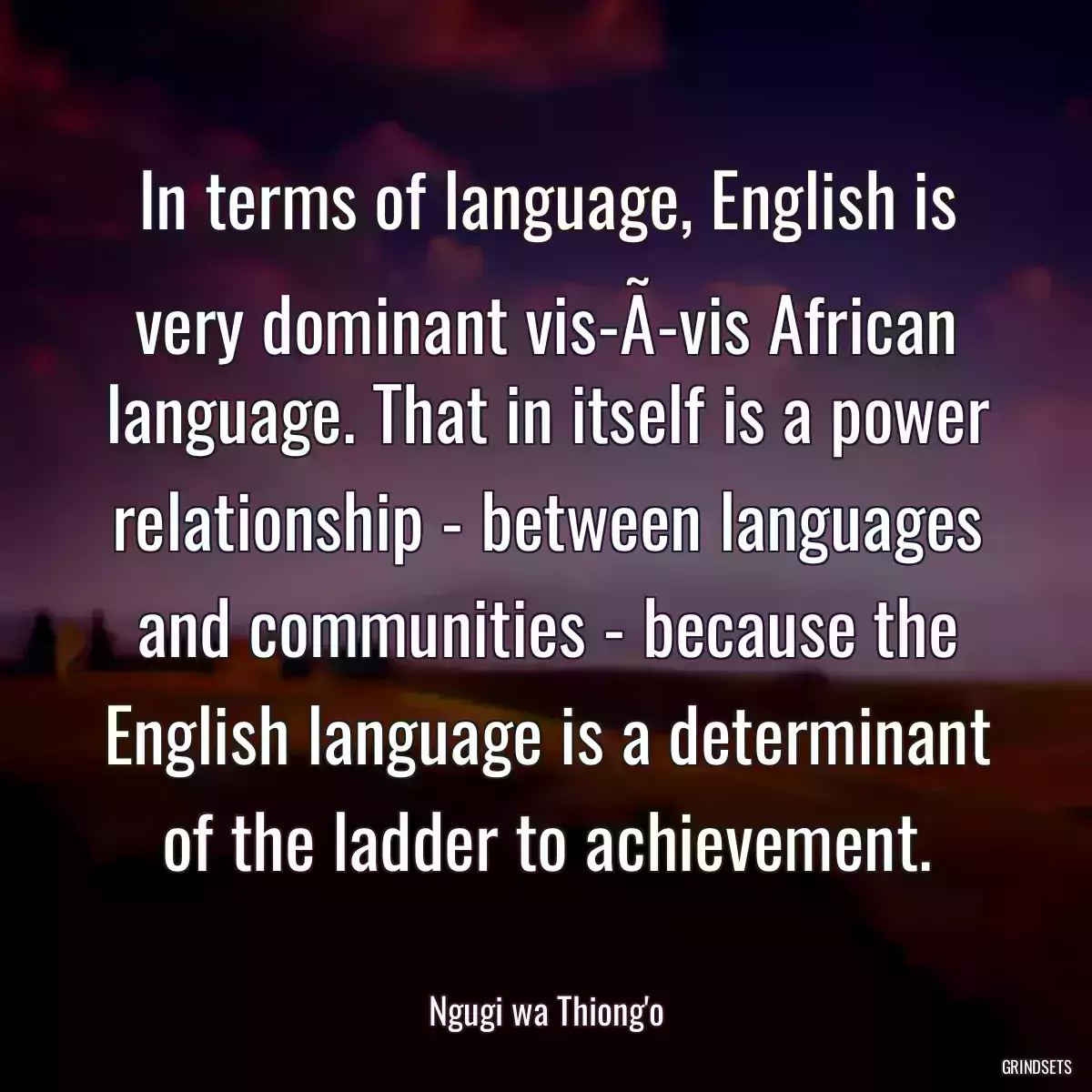 In terms of language, English is very dominant vis-Ã-vis African language. That in itself is a power relationship - between languages and communities - because the English language is a determinant of the ladder to achievement.