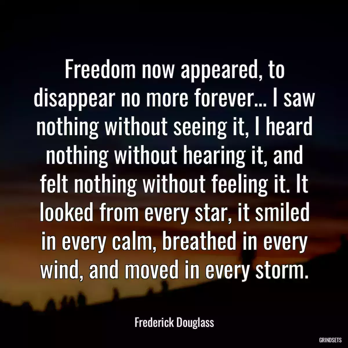 Freedom now appeared, to disappear no more forever... I saw nothing without seeing it, I heard nothing without hearing it, and felt nothing without feeling it. It looked from every star, it smiled in every calm, breathed in every wind, and moved in every storm.