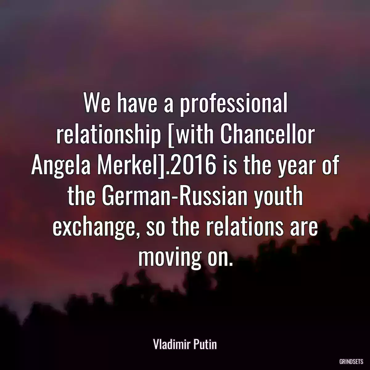 We have a professional relationship [with Chancellor Angela Merkel].2016 is the year of the German-Russian youth exchange, so the relations are moving on.