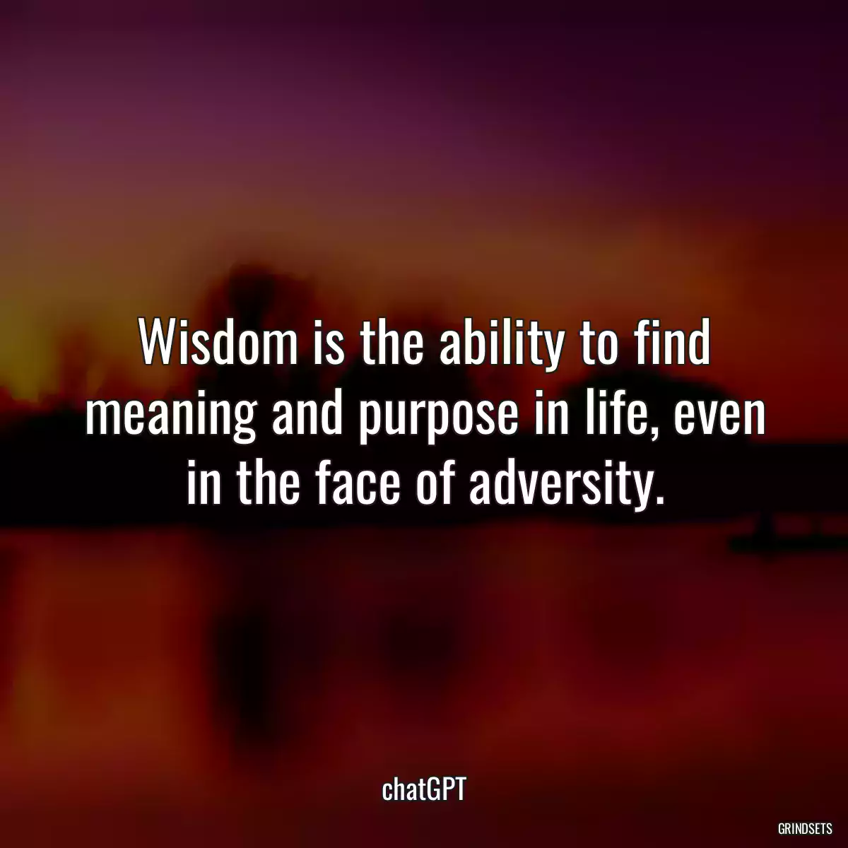 Wisdom is the ability to find meaning and purpose in life, even in the face of adversity.