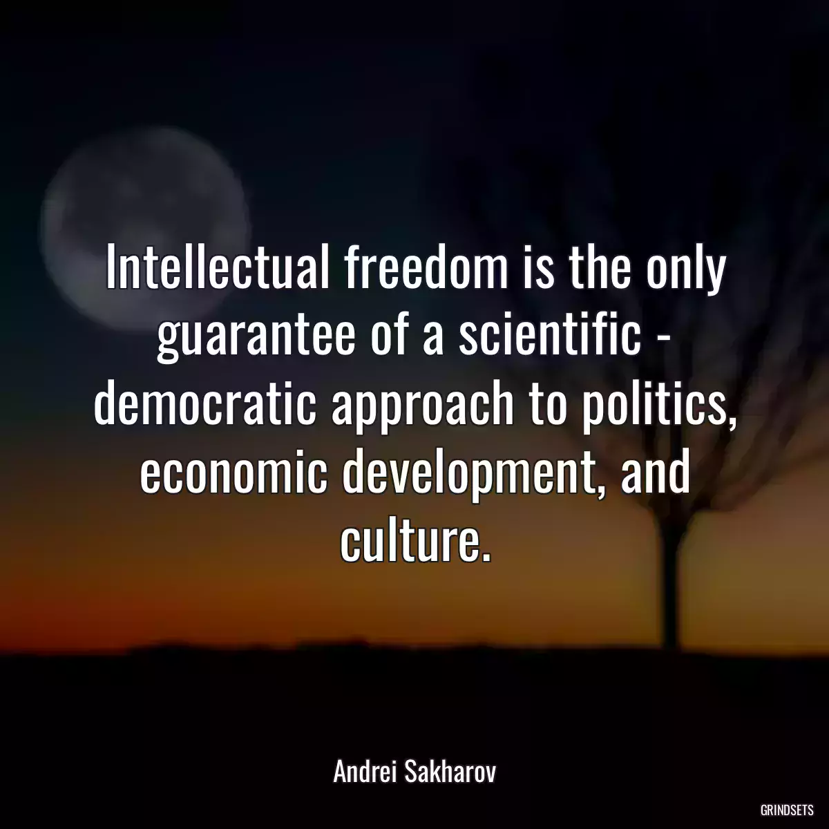 Intellectual freedom is the only guarantee of a scientific - democratic approach to politics, economic development, and culture.