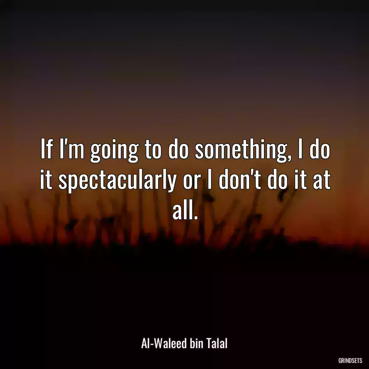 If I\'m going to do something, I do it spectacularly or I don\'t do it at all.