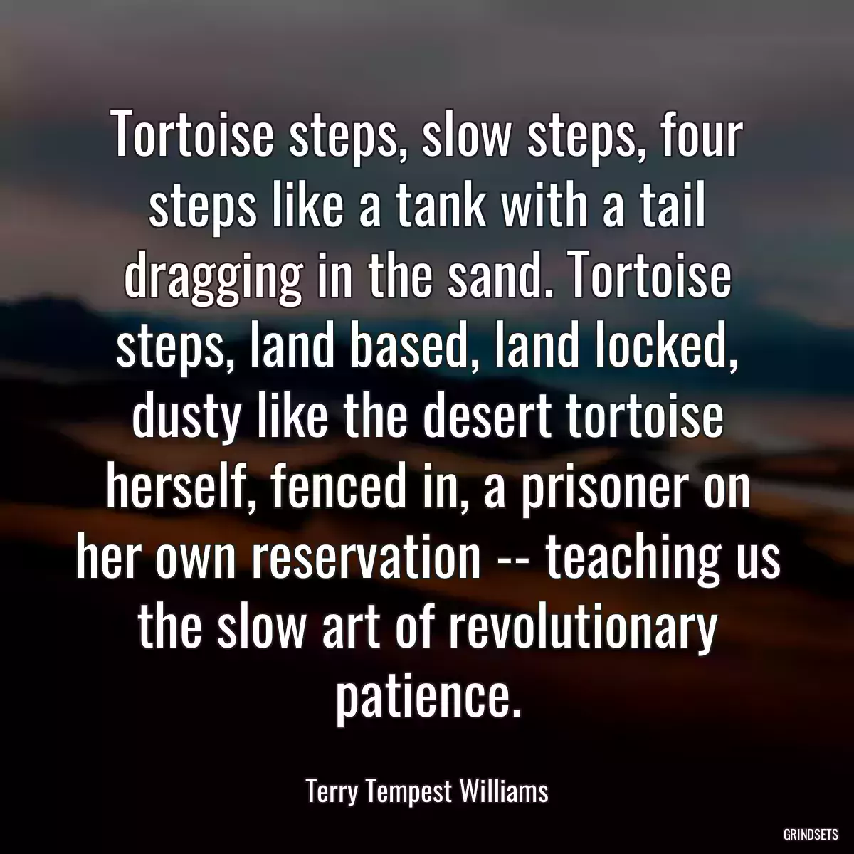 Tortoise steps, slow steps, four steps like a tank with a tail dragging in the sand. Tortoise steps, land based, land locked, dusty like the desert tortoise herself, fenced in, a prisoner on her own reservation -- teaching us the slow art of revolutionary patience.