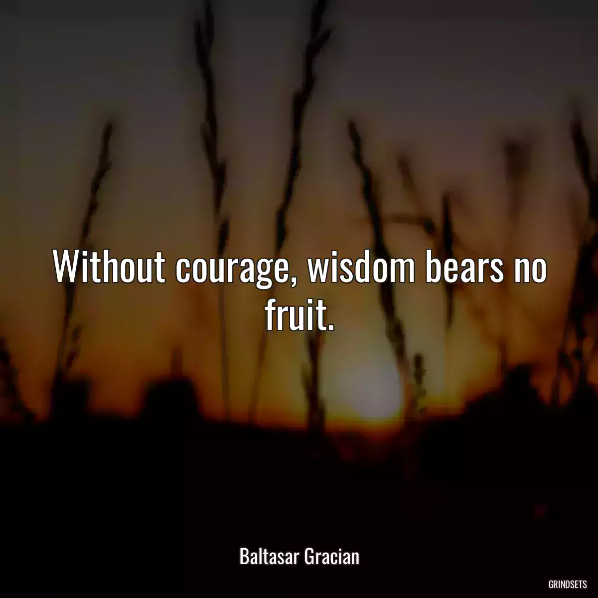 Without courage, wisdom bears no fruit.