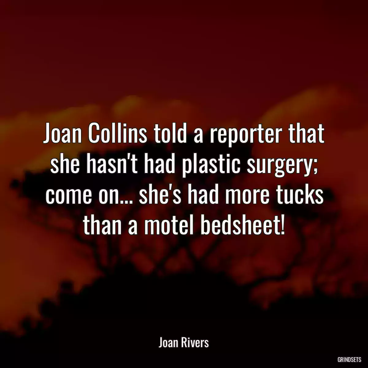 Joan Collins told a reporter that she hasn\'t had plastic surgery; come on... she\'s had more tucks than a motel bedsheet!