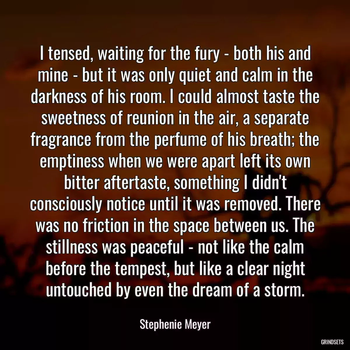 I tensed, waiting for the fury - both his and mine - but it was only quiet and calm in the darkness of his room. I could almost taste the sweetness of reunion in the air, a separate fragrance from the perfume of his breath; the emptiness when we were apart left its own bitter aftertaste, something I didn\'t consciously notice until it was removed. There was no friction in the space between us. The stillness was peaceful - not like the calm before the tempest, but like a clear night untouched by even the dream of a storm.