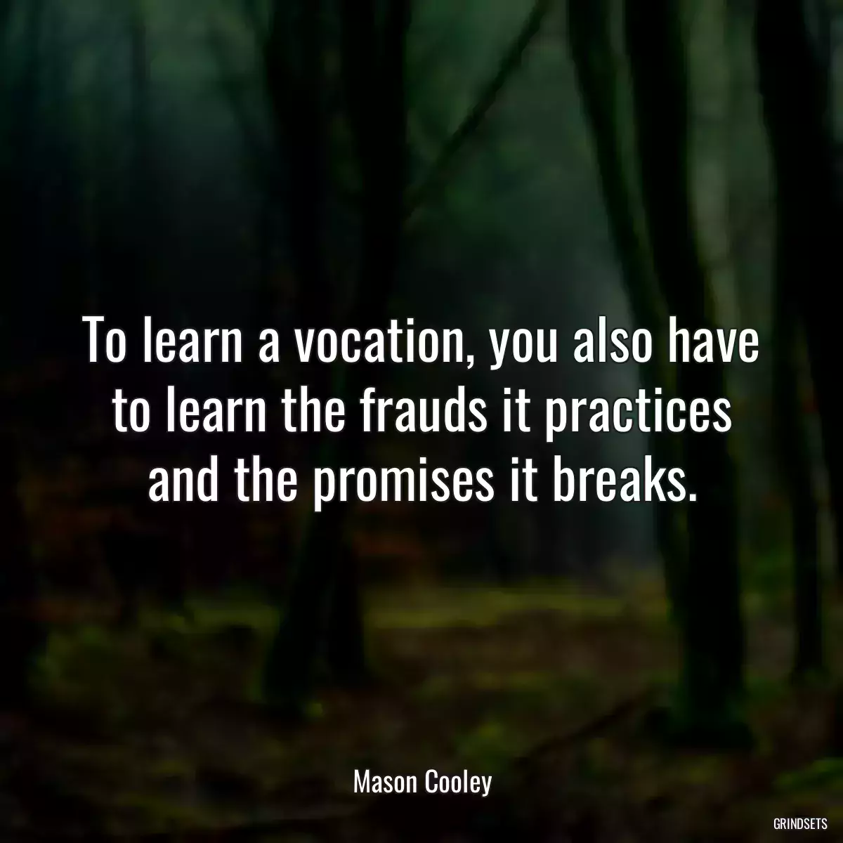 To learn a vocation, you also have to learn the frauds it practices and the promises it breaks.