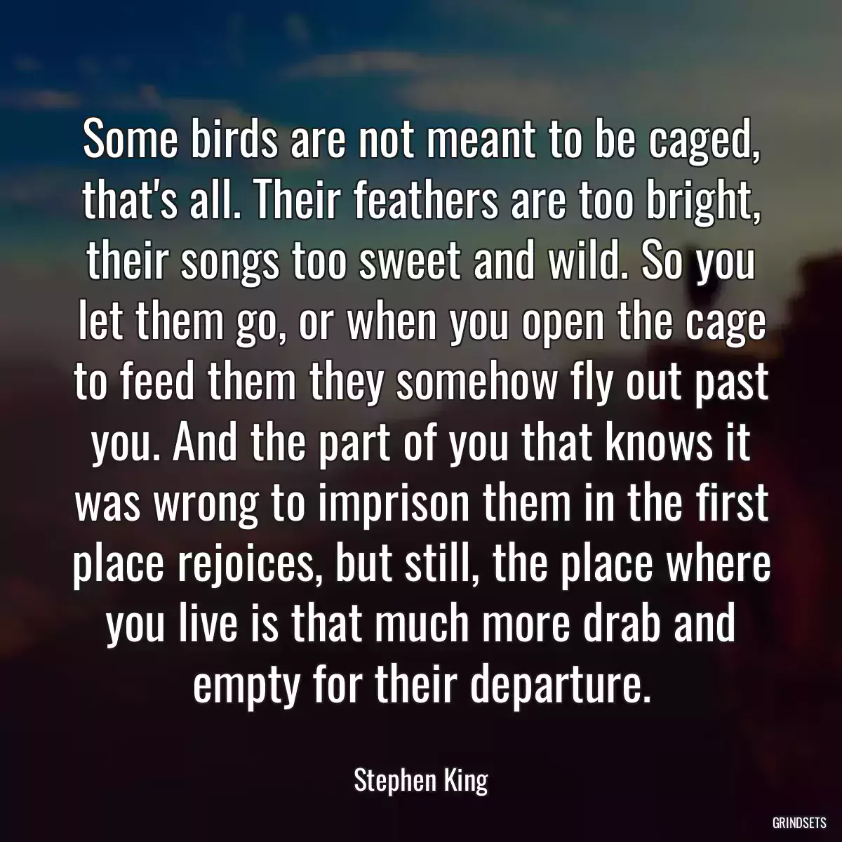 Some birds are not meant to be caged, that\'s all. Their feathers are too bright, their songs too sweet and wild. So you let them go, or when you open the cage to feed them they somehow fly out past you. And the part of you that knows it was wrong to imprison them in the first place rejoices, but still, the place where you live is that much more drab and empty for their departure.