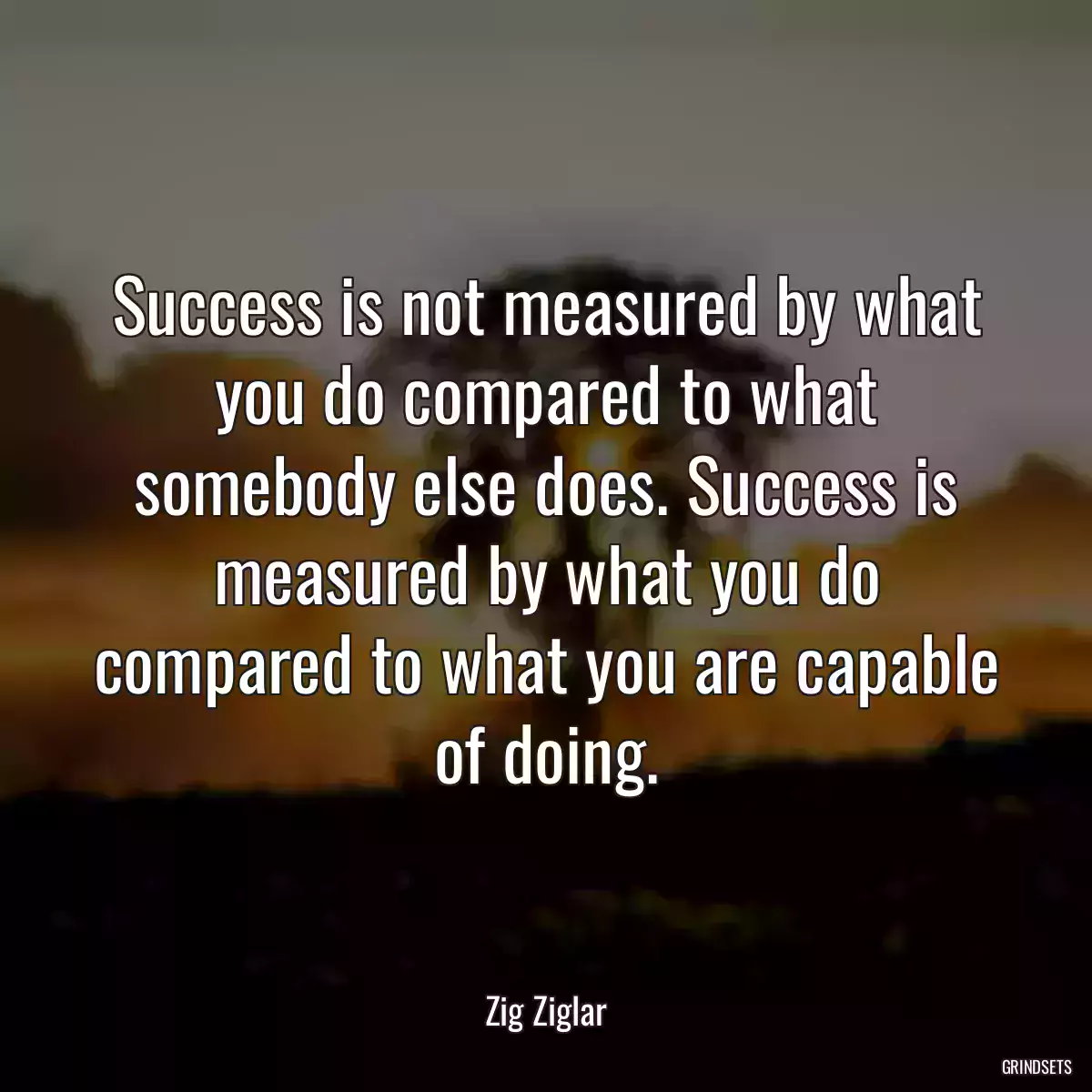 Success is not measured by what you do compared to what somebody else does. Success is measured by what you do compared to what you are capable of doing.