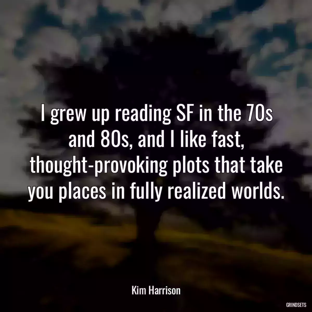 I grew up reading SF in the 70s and 80s, and I like fast, thought-provoking plots that take you places in fully realized worlds.